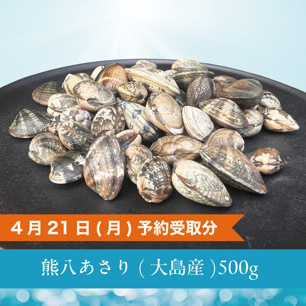 熊八あさり 大島産/500g - R7.4/21(月)予約受取分