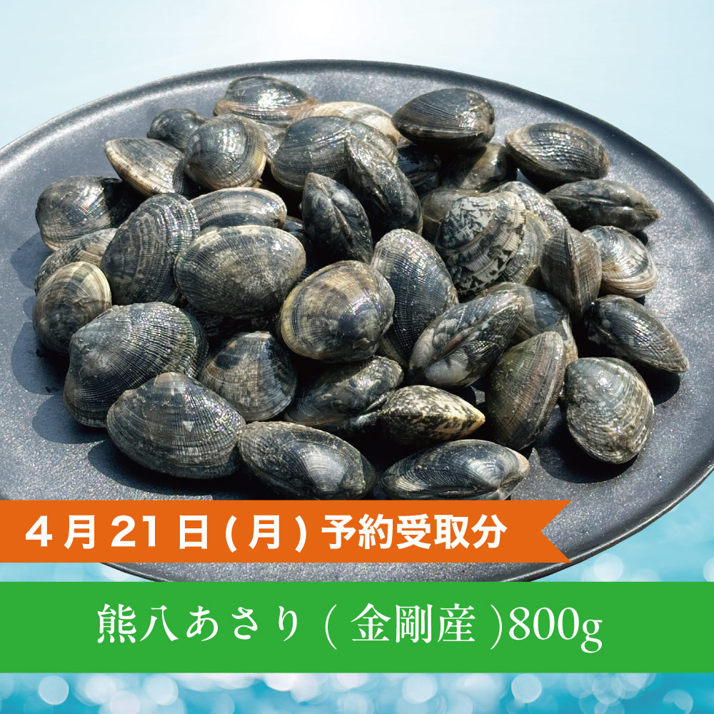 熊八あさり 金剛産/800g - R7.4/21(月)予約受取分(数量限定)