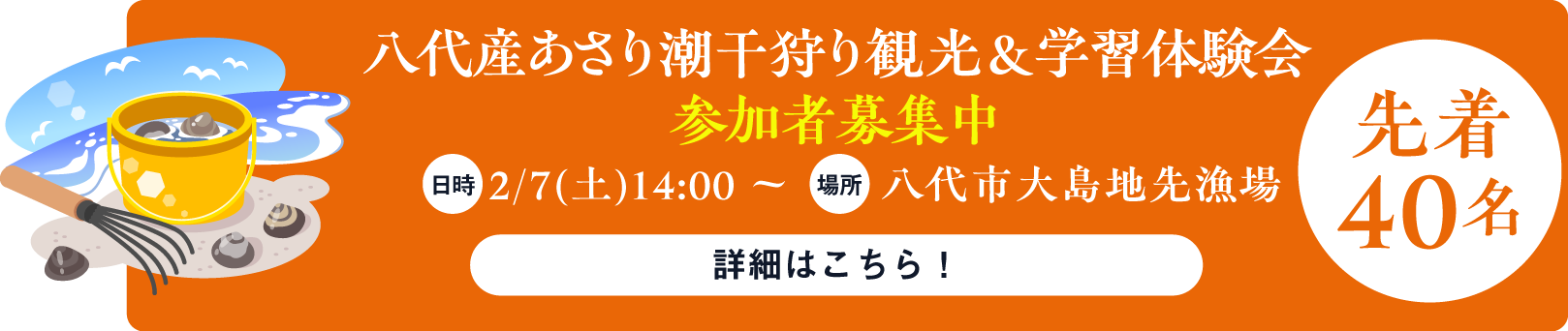 八代産あさり潮干狩り体験